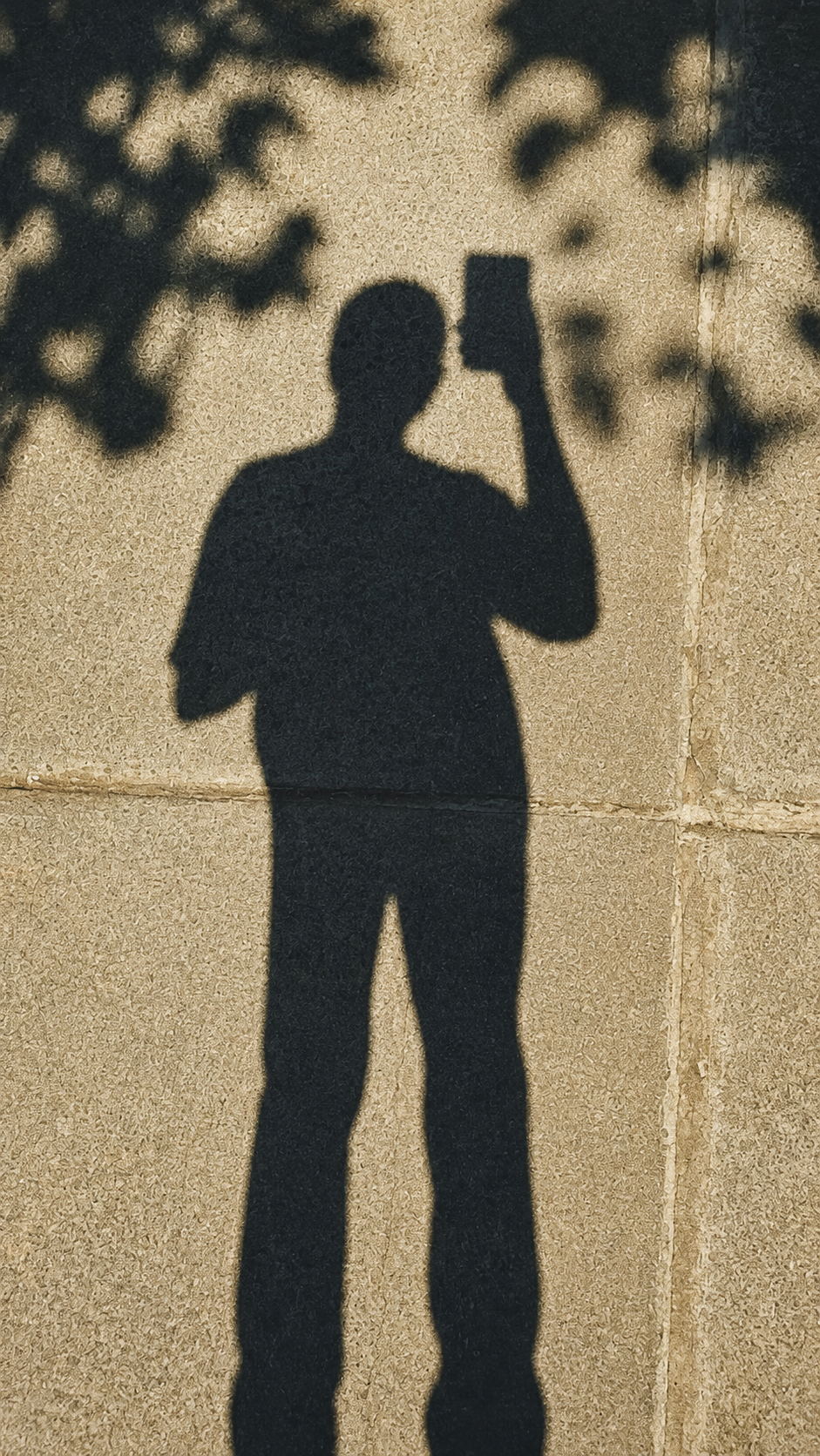 Perfil comum, sem identidade visual